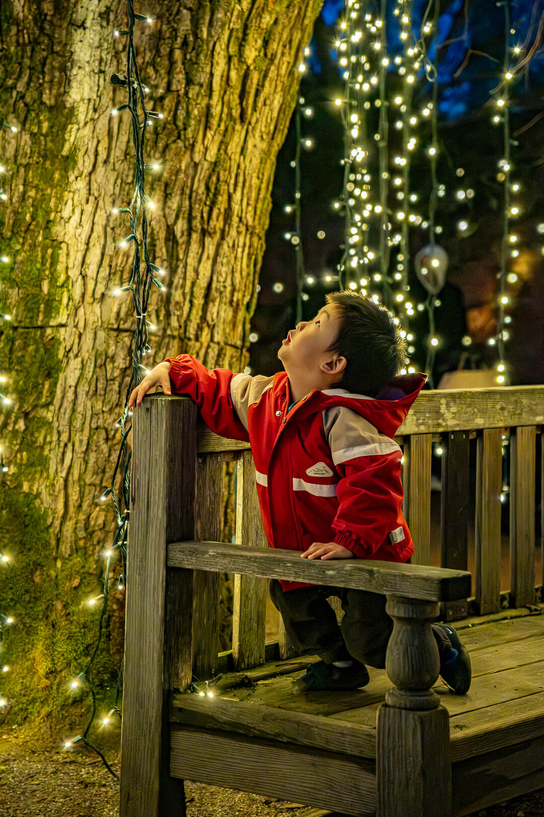 portrait photography